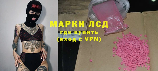 крисы Алзамай