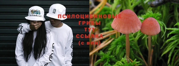 крисы Алзамай