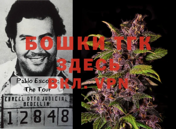 крисы Алзамай
