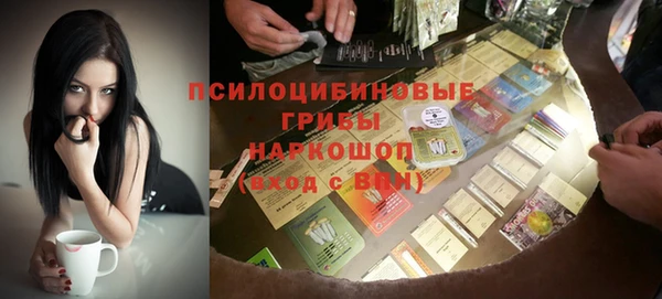 бошки Алексин
