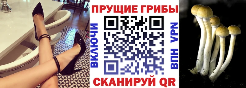Псилоцибиновые грибы мицелий  Купить закладки  Спас-Клепики 